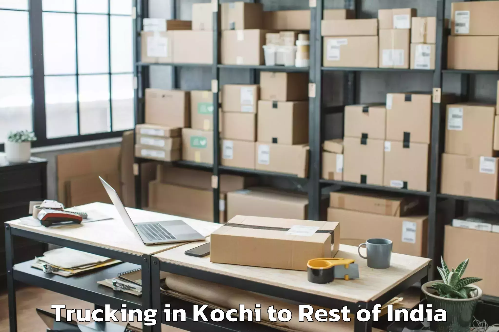 Book Kochi to Ramnagar Udhampur Trucking